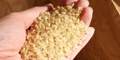 主食を玄米に変えるだけでダイエット。ポイントはGI値