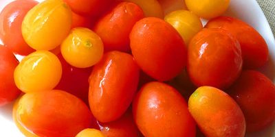 美肌食材トマトとゴーヤで透明感のある肌を手に入れよう