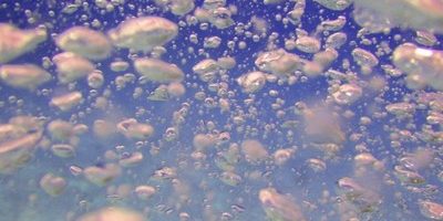 肌の大敵「活性酸素」。対策できる栄養が種類毎に違うって知ってた?