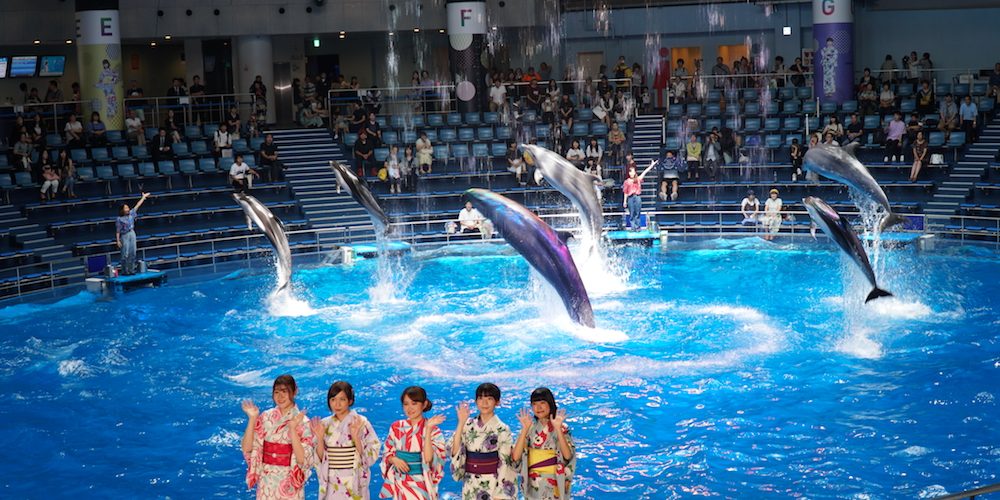 『Little Glee Monster』とタイアップ♡アクアパーク品川の”花火アクアリウム”で特別な夏の思い出を