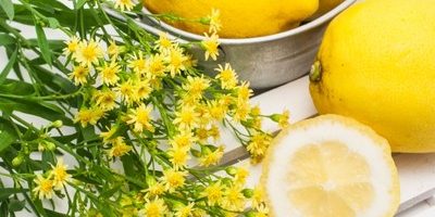 ビタミンCはこまめに摂らないとダメ! グミサプリやチュアブル錠がおすすめ