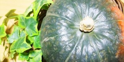 旬の食材かぼちゃの効能と、おいしく食べる方法 〜ビタミンA・C・Eが豊富な美肌食材〜