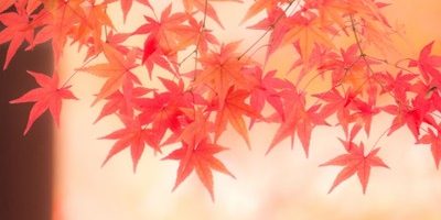 太る? シミができる? 秋に注意するべき美容トラブルはコレ!