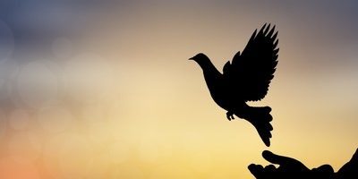 ピルを飲んだ数年間の過程と変化、そして今