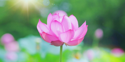 完全ヴィーガンコスメブランドのAwakeをお試ししてみました!